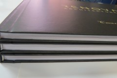 Проект в твердом переплете А-3 формата